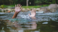 istockphoto-1426281384-170667a